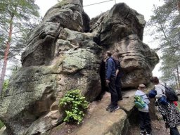 50462572411746170411329093468359648436703021n